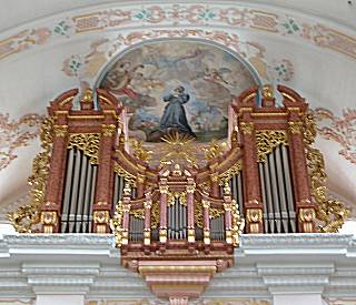 Main organ
